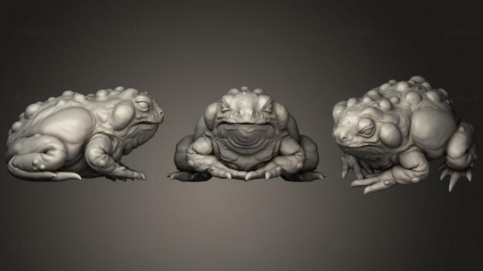 3D model Frog 2 (STL)